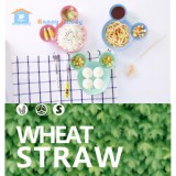 Đĩa Mickey chất liệu sợi lúa mì Wheat Straw