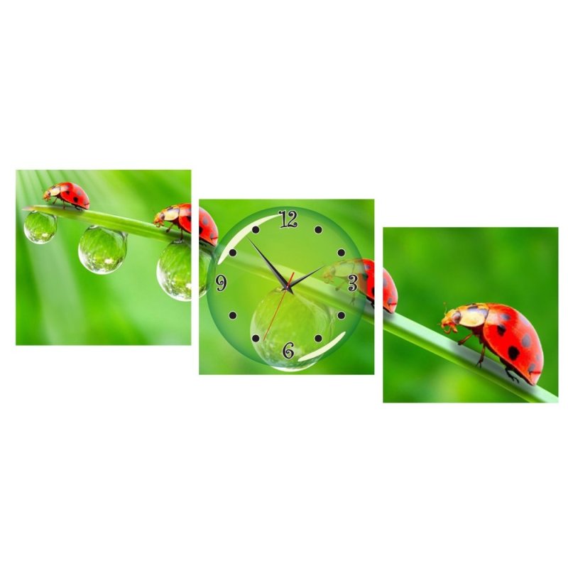 Nơi bán Đồng hồ tranh Bọ đỏ Vicdecor DHT0214