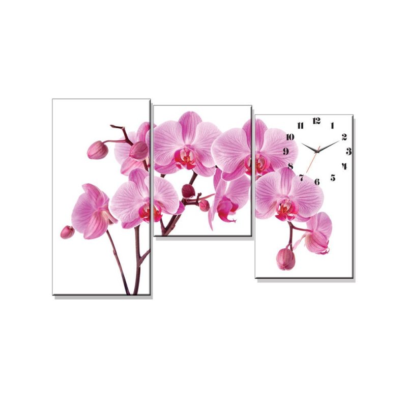 Nơi bán Đồng hồ tranh Lan hồ điệp Dyvina 3T-4