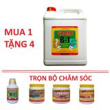 Dung dịch dinh dưỡng chuyên dùng ra chồi rễ cho trà cà phê, hiệu quả tiết kiệm