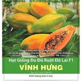 [HCM]Giống Đu Đủ Ruột Đỏ Vĩnh Hưng