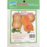Hạt giống bí hạt đậu pn-389 - gói 2g