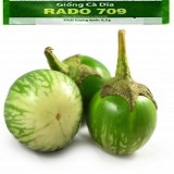 [HCM]COMBO 02 GÓI Hạt giống Cà dĩa da ếch Rạng Đông RADO 709 -gói 0.5g
