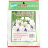 Hạt giống Cà pháo trắng F1 Cao sản 123 - Gói 0.5g