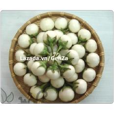 Hạt giống cà pháo trắng f1 - giống chất lượng cao, sai quả