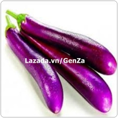 Hạt giống Cà tím dài Cali - Giống chất lượng cao, sai quả