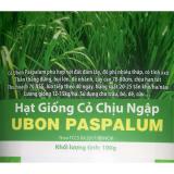 [HCM]Hạt Giống Cỏ Chịu Ngập UBON PASPALUM
