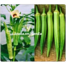 Hạt giống Đậu bắp xanh cao sản - Giống chất lượng cao, sai quả