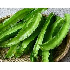 Hạt giống đậu rồng
