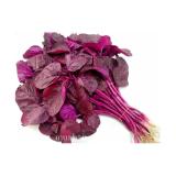 [HCM]Hạt giống dền đỏ cao sản phú nông -gói 20g