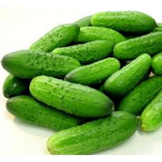 Hạt giống Dưa chuột bao tử Ali - Giống chất lượng cao, sai quả