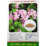 Hạt giống hoa tam giác mạch - klt 50 hạt .