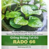 [HCM]Hạt Giống Mồng Tơi Đỏ  RD66