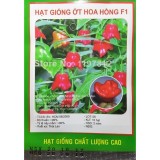 [HCM]Hạt Giống Ớt Hoa Hồng Thái Lan - KLT 10 hạt