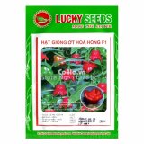 Hạt giống Ớt hoa hồng F1 (Lucky)(Red)