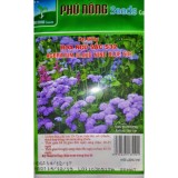 HOA NGŨ SẮC ( PHÚ NÔNG)532  Thái Lan - KLT 20 HẠT