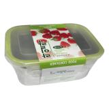 [HCM]Hộp Đựng Thực Phẩm Inox Hàn Quốc TERRA 550ml Hình Chữ Nhật Có Nắp Đậy Bằng Nhựa PP SS3
