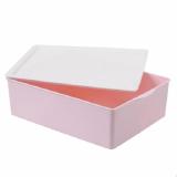 Khay Đựng Áo Ngực HomeStar GTHS12