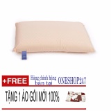 LIÊN Á Gối cao su non (KT: 23 x 35 x 6 cm) Hàng VIỆT NAM Chất lượng cao