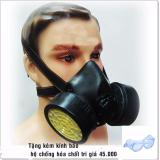 Mặt nạ phòng độc 2 phin BB 306 + Tặng kèm 1 kính bảo hộ chống hóa chất