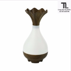 Máy xông tinh dầu khói chảy kiêm đèn ngủ Jade Bottle Aroma Diffuser