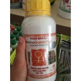 Phân bón amino quelant - b, 500ml