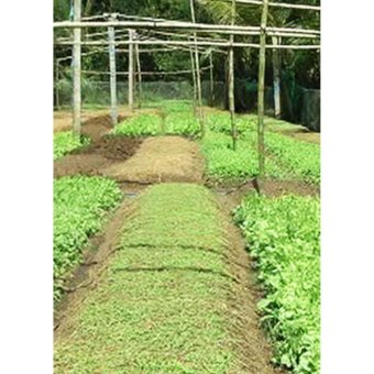 Phân Hữu Cơ Tổng Hợp Dạng Nén 03 Kg July 2018 - 3 Phân hữu cơ tổng hợp dạng nén 03 kg - 3
