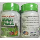 Rong biển Root Plex