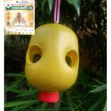 (Hỗ trợ phí VC) Set 4 bẫy ruồi vàng + hộp thuốc dẫn dụ, diệt ruồi vàng Vizubon