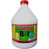 Siêu ra rễ topagri b1 2 lít chuyên phong lan