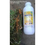 Thuốc trị vi khuẩn- benkona 1000ml