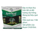 Thuốc trừ bệnh thán thư Antracol 70WP của Bayer CHLB Đức