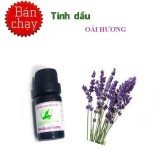 Tinh dầu hoa oải hương Lavender - Thảo Mộc Xanh
