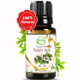 Tinh Dầu Tràm Trà 10ml - Henashop