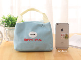 Túi giữ nhiệt Baymax