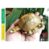 Tượng Rùa Kim Quy cao - Linh vật phong thuỷ bằng đồng thau + Tặng vòng tỳ hưu đen