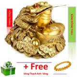 Tượng Thiềm thừ lớn - Chất liệu bằng đồng thau nặng 1,5kg cao 13.5cm (Cóc ba chân linh vật phong thuỷ tài lộc)