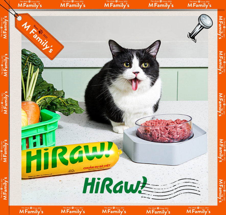 Hi Raw - Thịt tươi sống cho mèo - Raw Food cho mèo