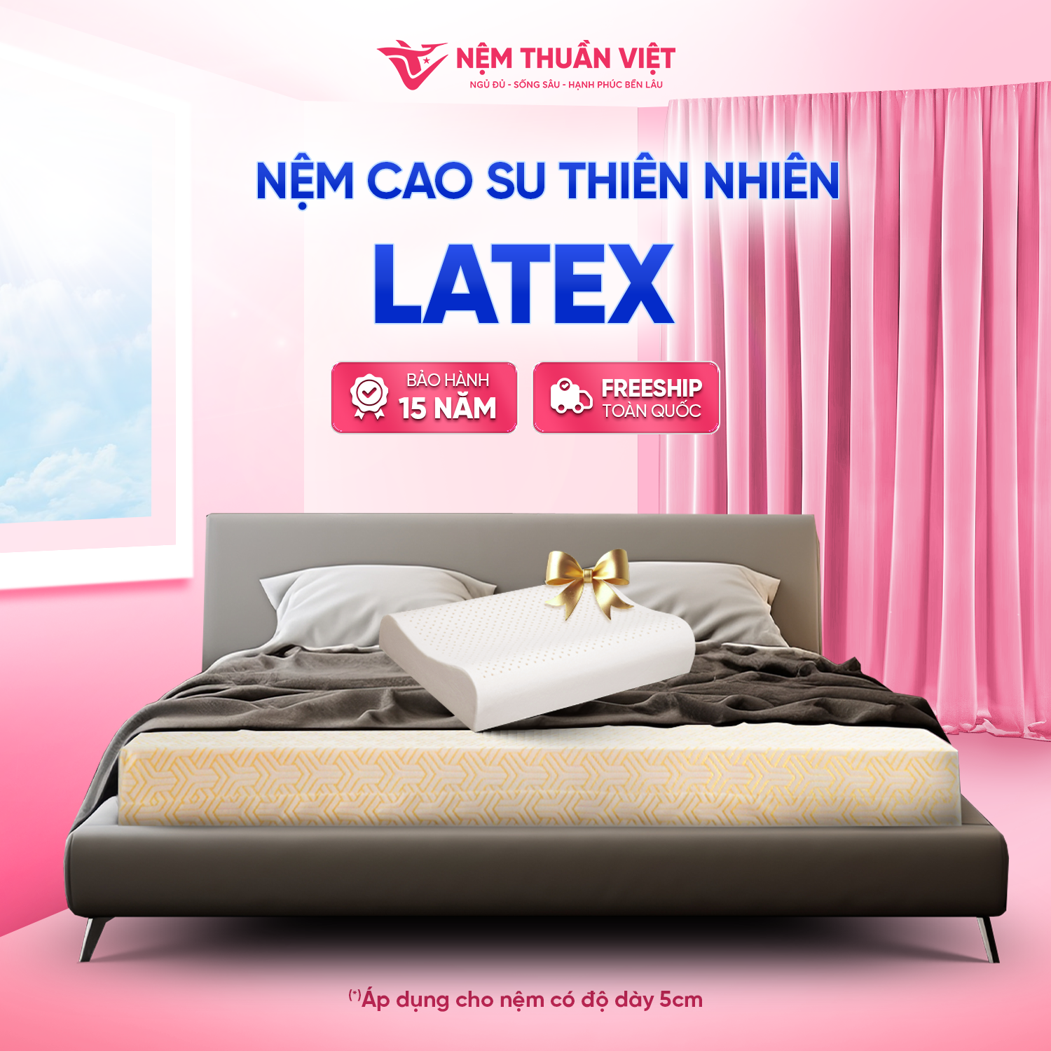 [Tặng 1 Gối Cao Su] Nệm Cao Su Thiên Nhiên Latex Thuần Việt - Nâng Đỡ 7 Vùng, Thoáng Khí - Bảo Hành 15 Năm