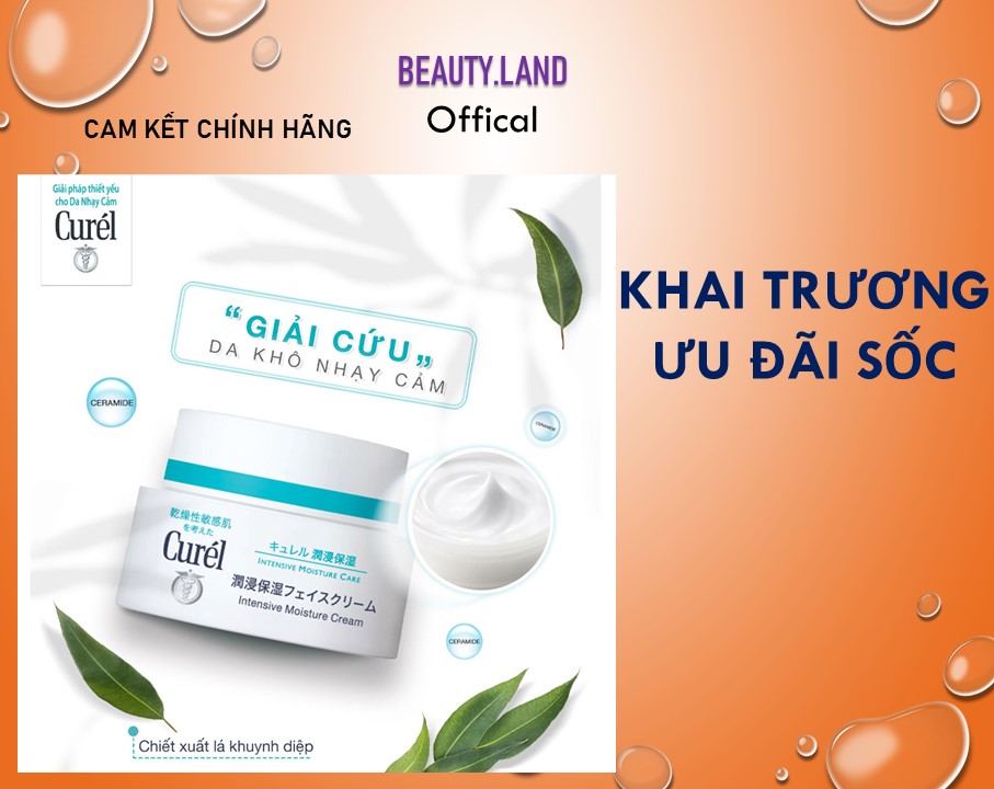Kem dưỡng ẩm chuyên sâu Curél Moisture Face Cream 40g Nhật bản nội địa
