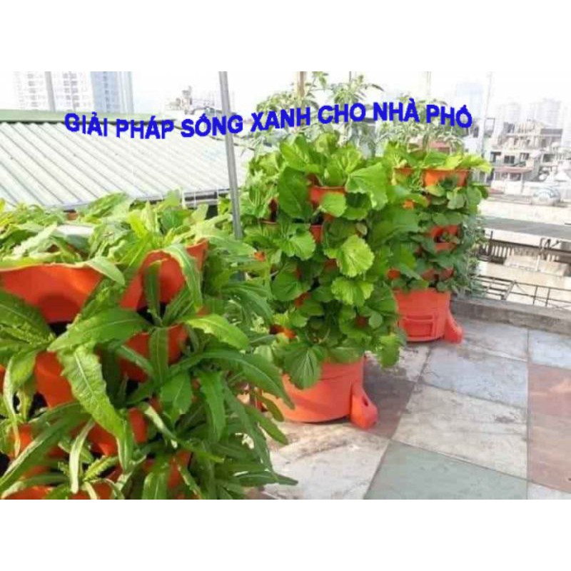 Tháp trồng Rau Thông Minh Hcm , tháp trồng rau hữu cơ eco Mua Nhiều Giảm Giá