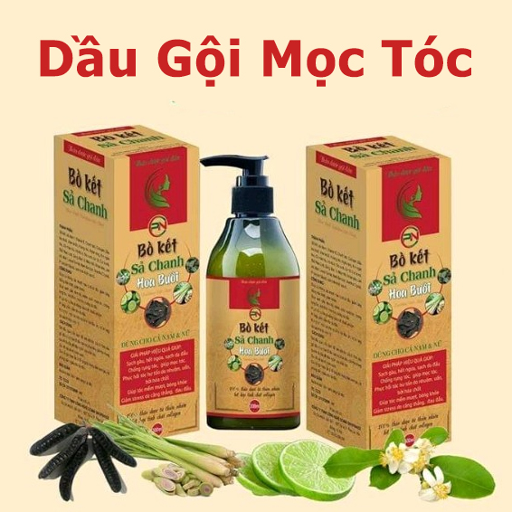 [HCM]Dầu gội bồ kết sả chanh hoa bưởi 300ml Giúp sạch gàu đen tóc mềm suông mượt tóc chống rụng tóc kích thích mọc tóc dưỡng da đầu.