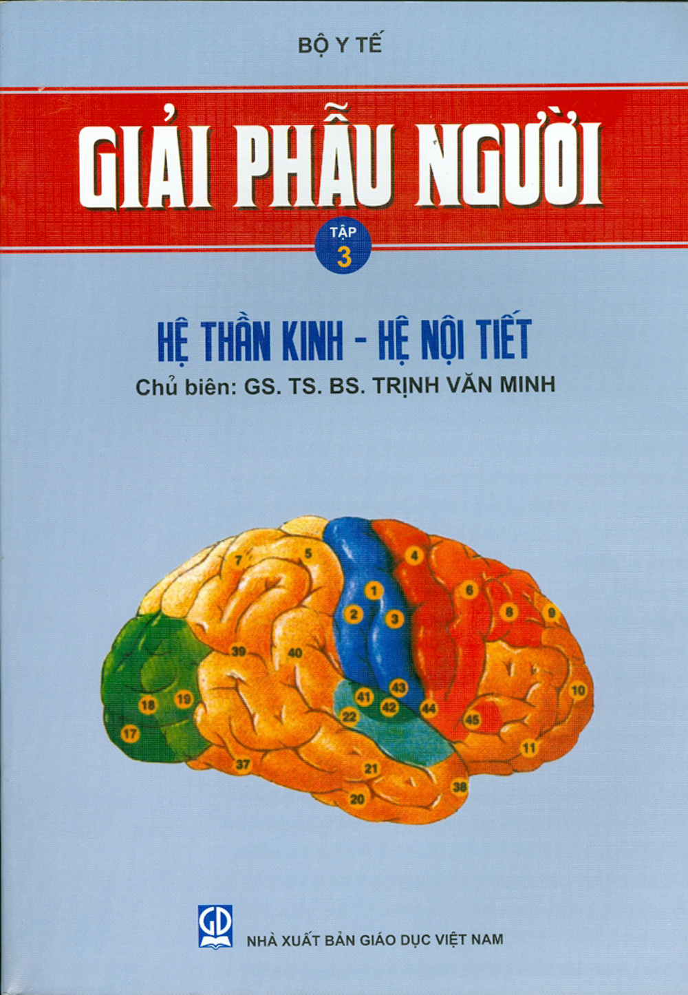 Giải phẫu người - tập 3 - hệ thần kinh - hệ nội tiết