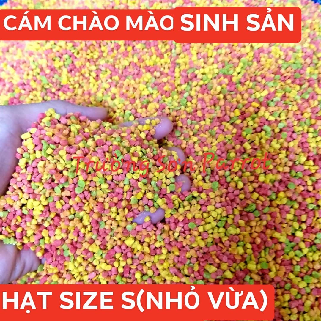 100g/500g cám sinh sản dành cho chào mào size S hạt nhỏ vừa