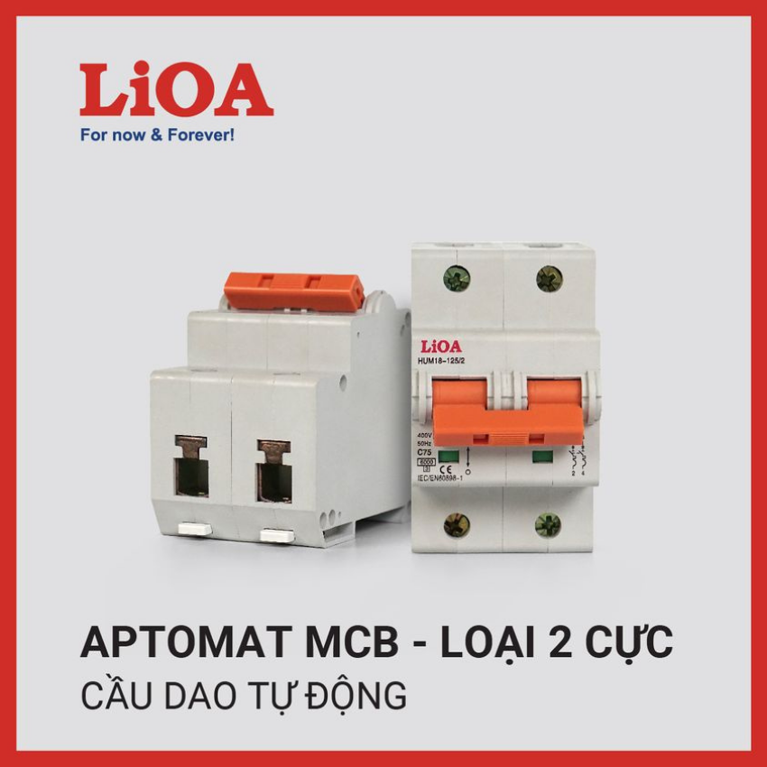 Aptomat 2 cực, cầu dao tự động, át tép 2 pha, aptomat bảo vệ mạch điện chống quá tải và ngắn mạch, dòng cắt 4,5ka, dòng điện 6a, 10a, 16a, 20a, 25a, 32a, 40a, 50a, 63a, 75a, 100a