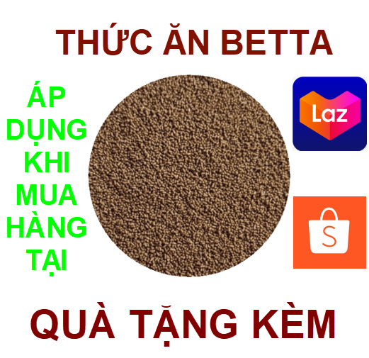 Cám cho cá cảnh 10g 0.2ly đạm 55%. cá ăn khỏe phát triển tốt