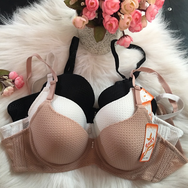 Áo ngực bigsize cho người béo