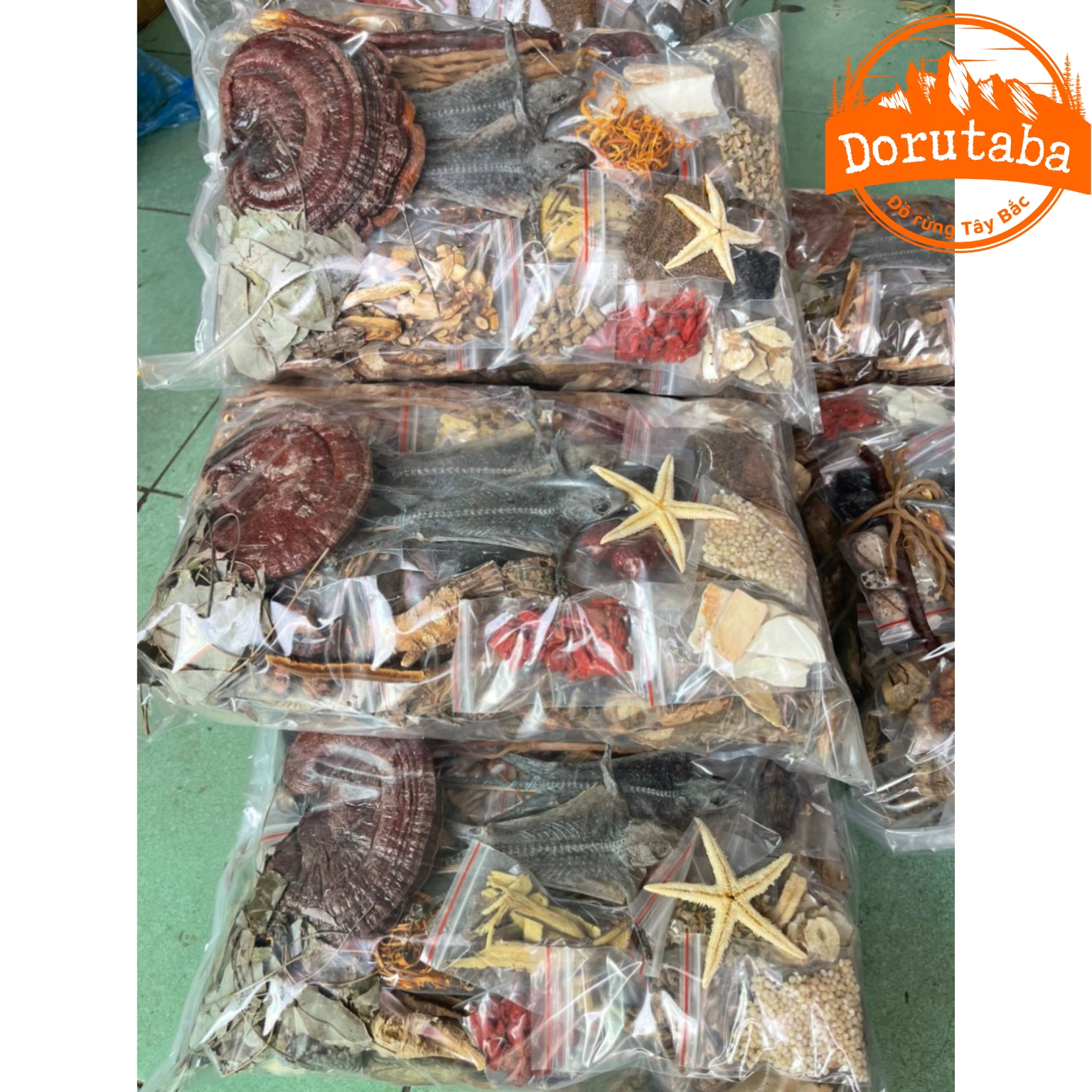 Minh Mạng Thang 35 vị đặc biệt có 2 tắc kè. Đồ ngâm rượu thuốc giúp bổ thận tráng dương, tăng cường 