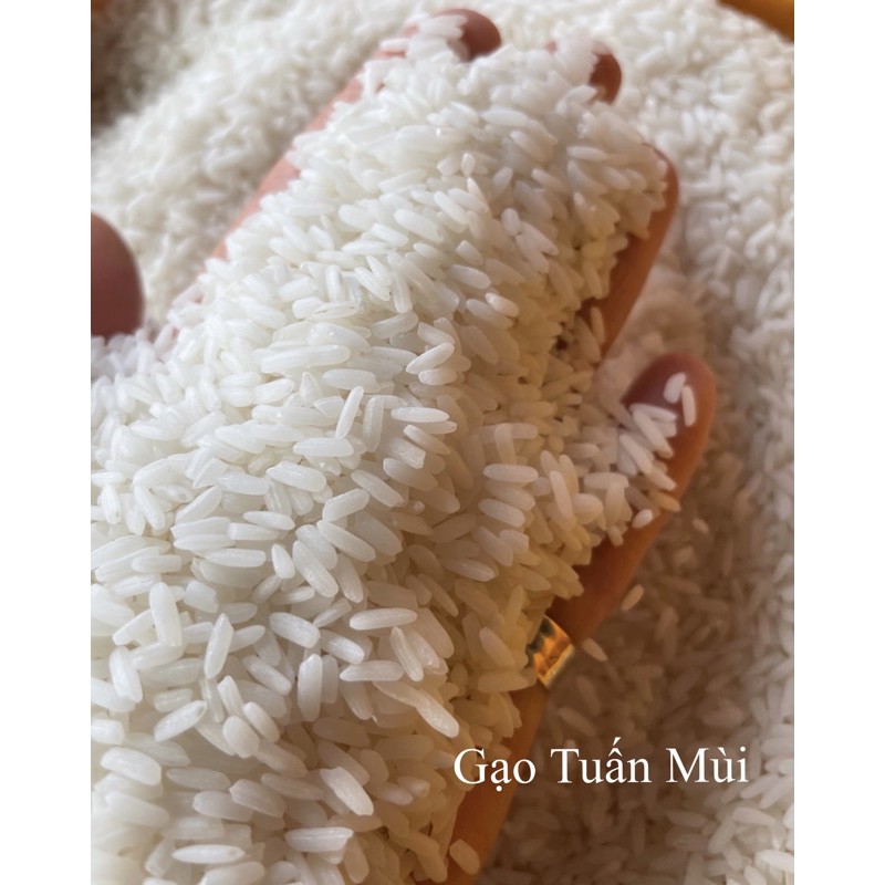 Gạo lài sữa 10 ký