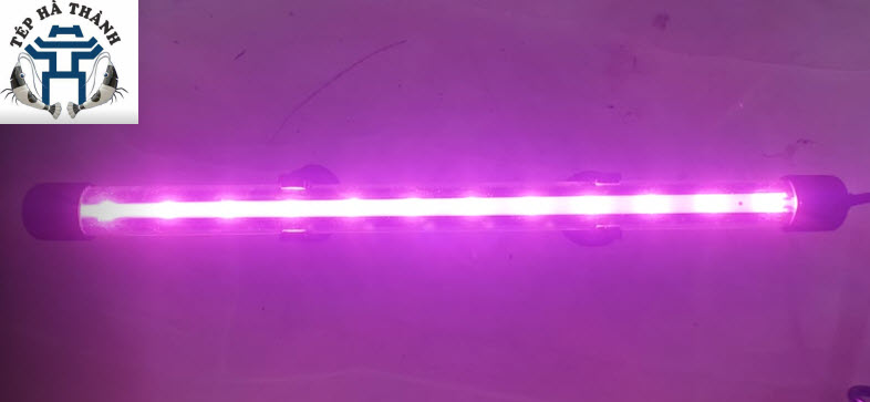 [Hoàn Tiền 10%] Đèn Led T4-40 Màu Hồng Cho Bể Cá Cảnh, Bể Thủy Sinh 40-50cm